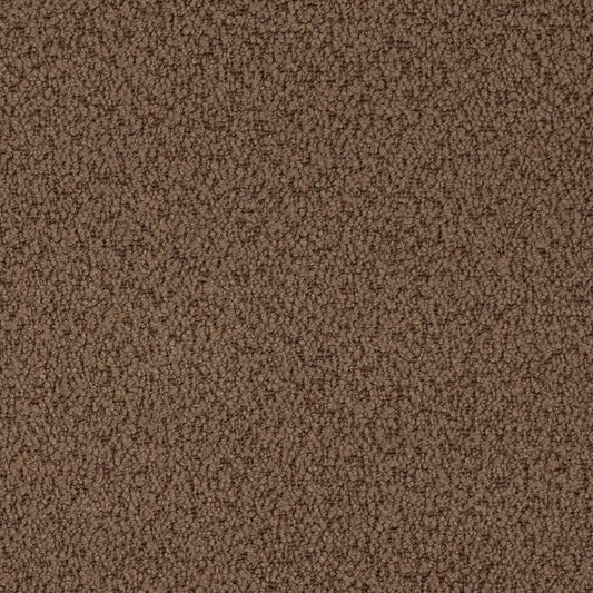 D4682 Plain & Solid Cappuccino Brown Charlotte Fabrics