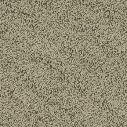 D4684 Plain & Solid Sage Green Charlotte Fabrics