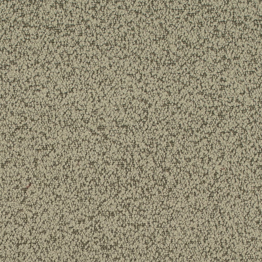 D4684 Plain & Solid Sage Green Charlotte Fabrics