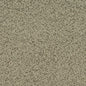 D4684 Plain & Solid Sage Green Charlotte Fabrics