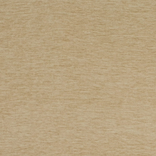 D4701 Plain & Solid Champagne Beige & Taupe Charlotte Fabrics