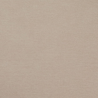 D4742 Plain & Solid Driftwood Beige & Taupe Charlotte Fabrics