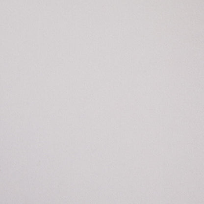 D4747 Plain & Solid Frost White & Ivory Charlotte Fabrics