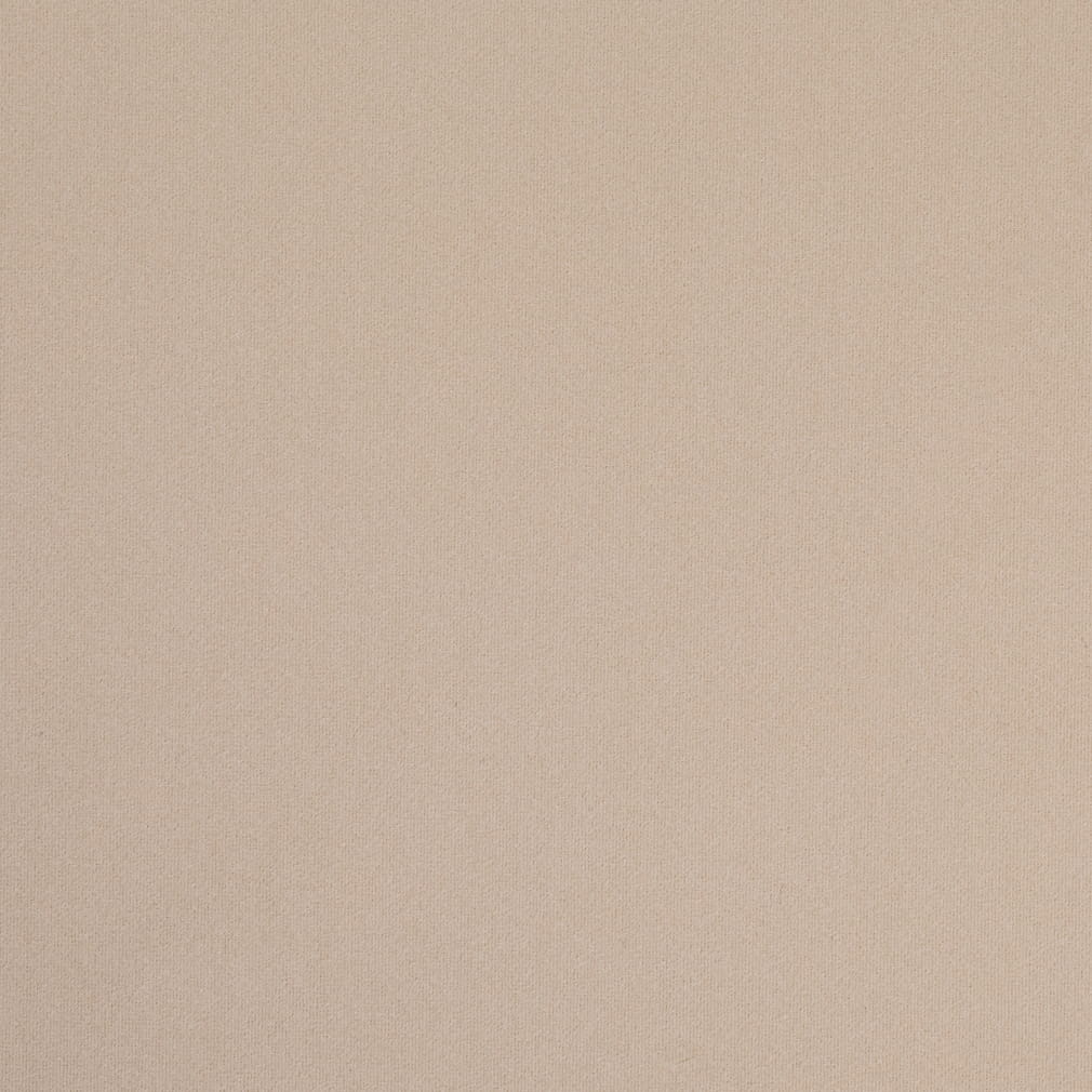 D4749 Plain & Solid Ecru Beige & Taupe Charlotte Fabrics