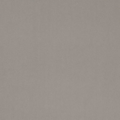 D4755 Plain & Solid Dove Grey & Silver Charlotte Fabrics