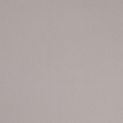 D4756 Plain & Solid Fog Grey & Silver Charlotte Fabrics