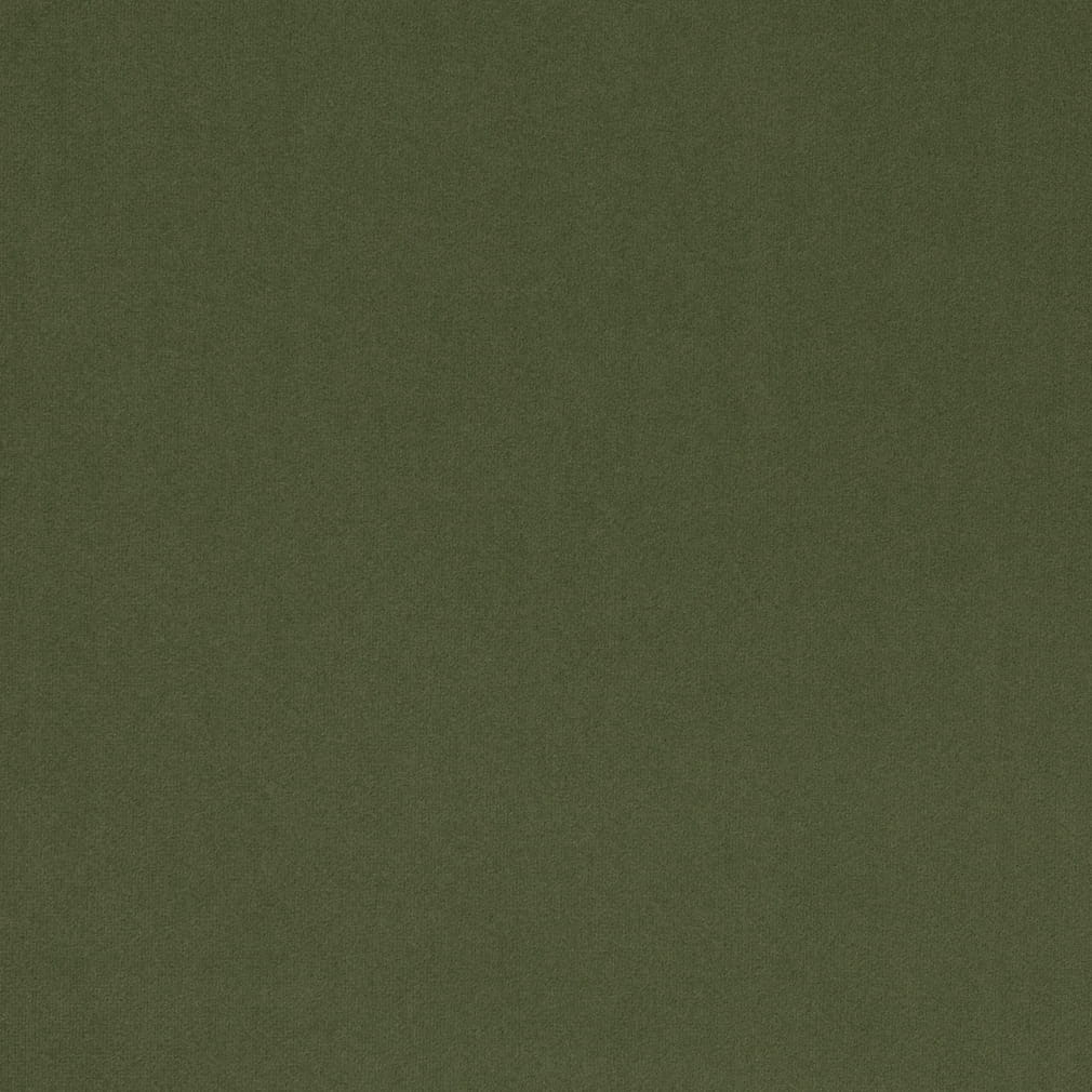 D4769 Plain & Solid Basil Green Charlotte Fabrics