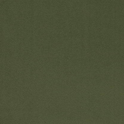D4769 Plain & Solid Basil Green Charlotte Fabrics