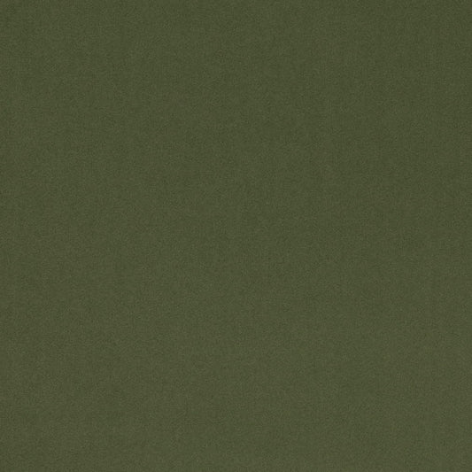 D4769 Plain & Solid Basil Green Charlotte Fabrics