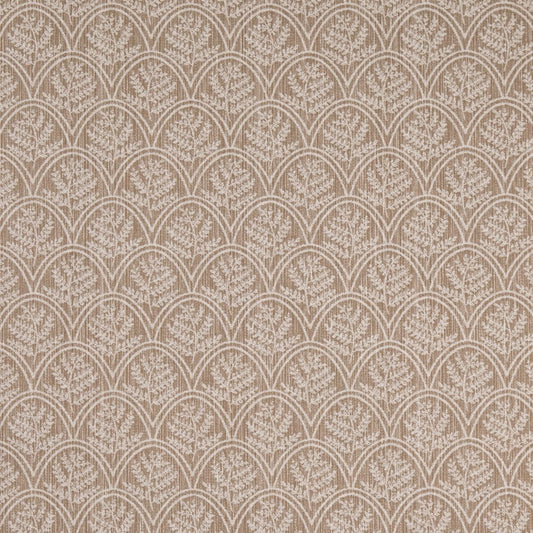 D4785 Abstract & Geometric,Leaves,Small Scale Trellis Fawn Beige & Taupe Charlotte Fabrics