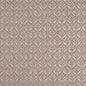 D4815 Abstract & Geometric,Small Scale Ditsy Fawn Beige & Taupe Charlotte Fabrics