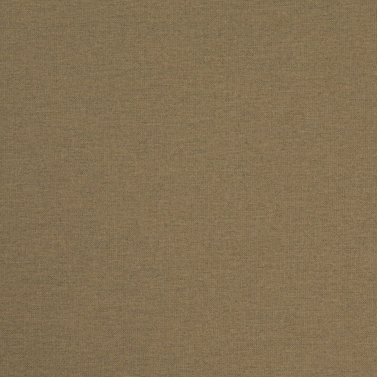 D4831 Plain & Solid Olive Green Charlotte Fabrics