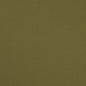 D4836 Plain & Solid Grass Green Charlotte Fabrics
