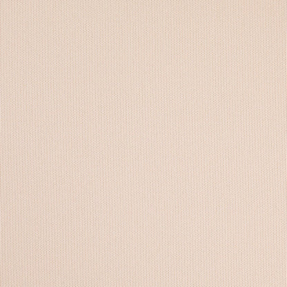 D4842 Plain & Solid Parchment White & Ivory Charlotte Fabrics