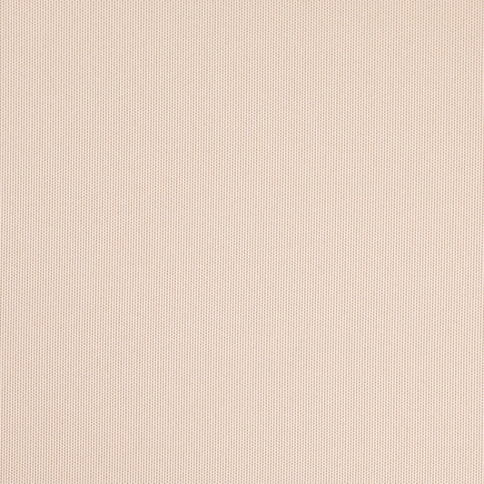 D4842 Plain & Solid Parchment White & Ivory Charlotte Fabrics