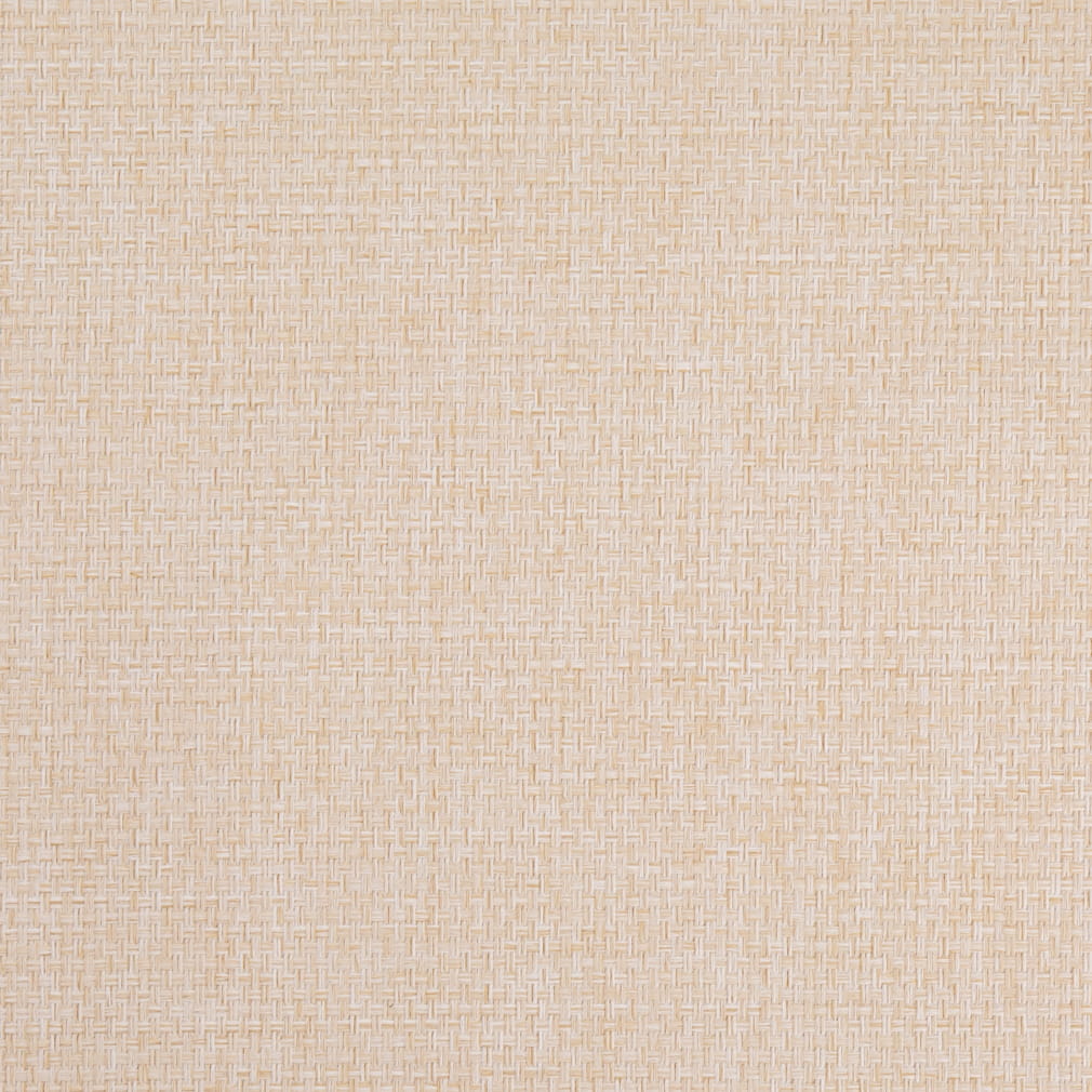 D4855 Plain & Solid Vanilla White & Ivory Charlotte Fabrics