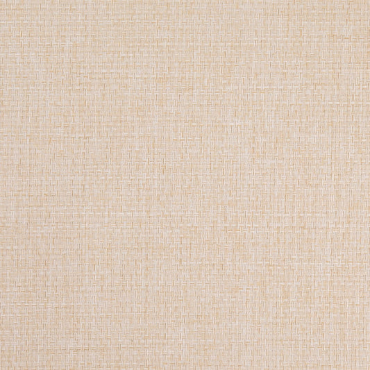 D4855 Plain & Solid Vanilla White & Ivory Charlotte Fabrics