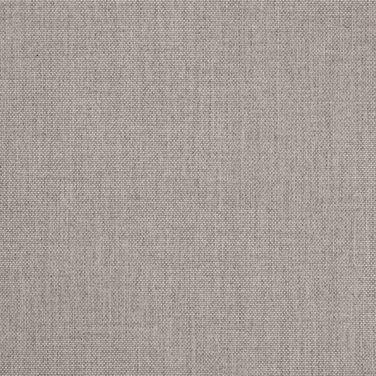 D4862 Plain & Solid Platinum Grey & Silver Charlotte Fabrics