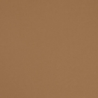 D4866 Plain & Solid Caramel Brown Charlotte Fabrics