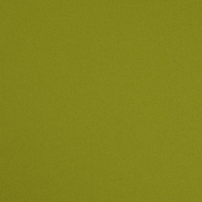 D4872 Plain & Solid Lime Green Charlotte Fabrics