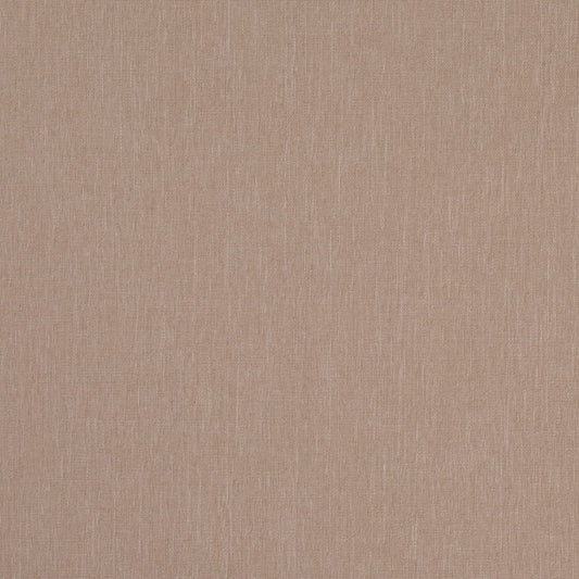 D4884 Plain & Solid Latte Beige & Taupe Charlotte Fabrics