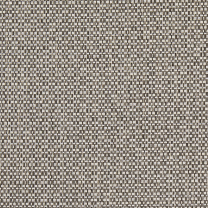 D4888 Plain & Solid Pebble Grey & Silver Charlotte Fabrics
