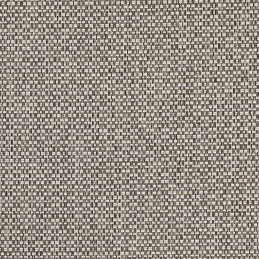 D4888 Plain & Solid Pebble Grey & Silver Charlotte Fabrics