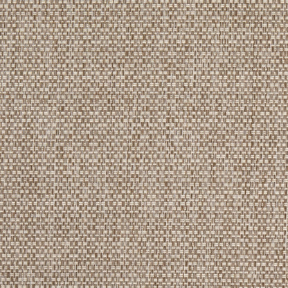 D4889 Plain & Solid Mushroom Beige & Taupe Charlotte Fabrics
