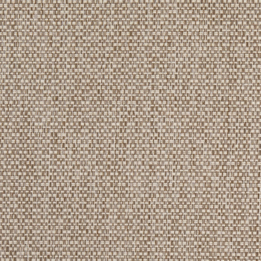 D4889 Plain & Solid Mushroom Beige & Taupe Charlotte Fabrics