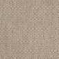 D4889 Plain & Solid Mushroom Beige & Taupe Charlotte Fabrics