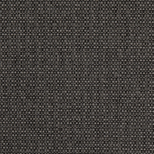 D4890 Plain & Solid Lead Grey & Silver Charlotte Fabrics