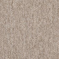 D4914 Plain & Solid Dove Grey & Silver Charlotte Fabrics