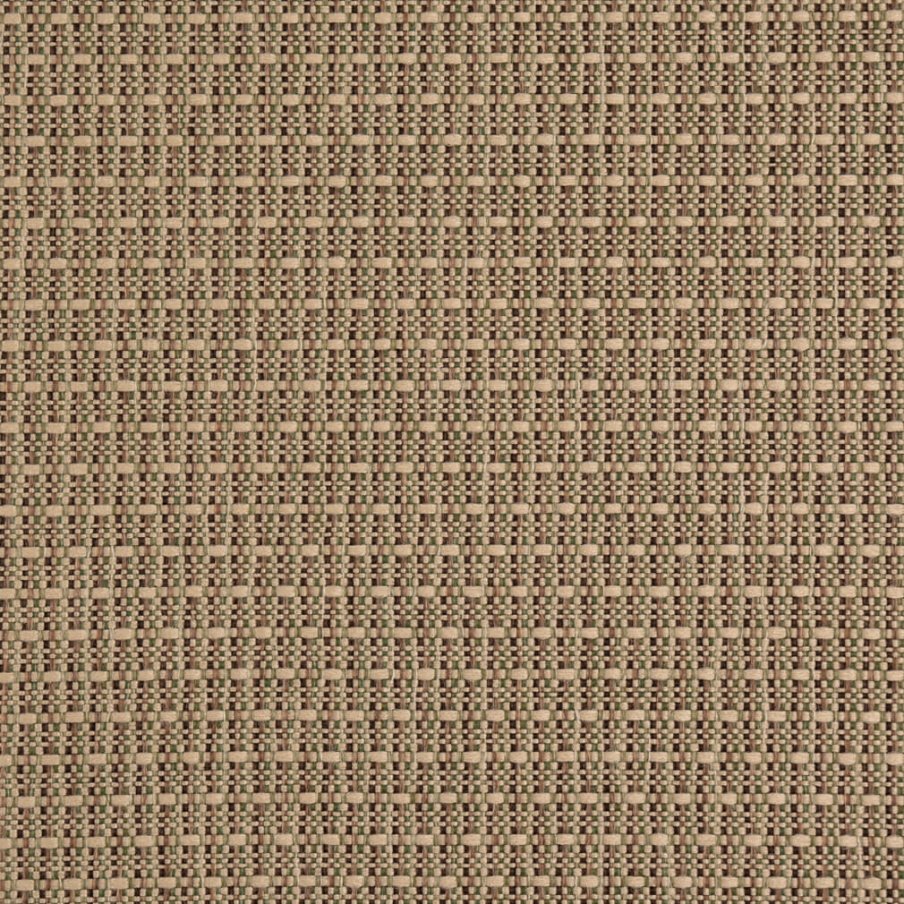 D5001 Plain & Solid Lichen Green Charlotte Fabrics