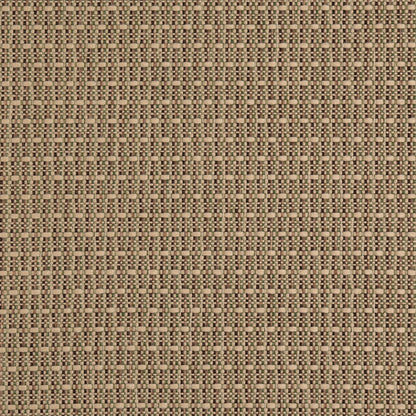 D5001 Plain & Solid Lichen Green Charlotte Fabrics