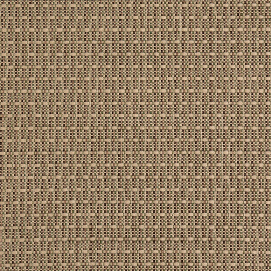 D5001 Plain & Solid Lichen Green Charlotte Fabrics