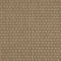 D5001 Plain & Solid Lichen Green Charlotte Fabrics