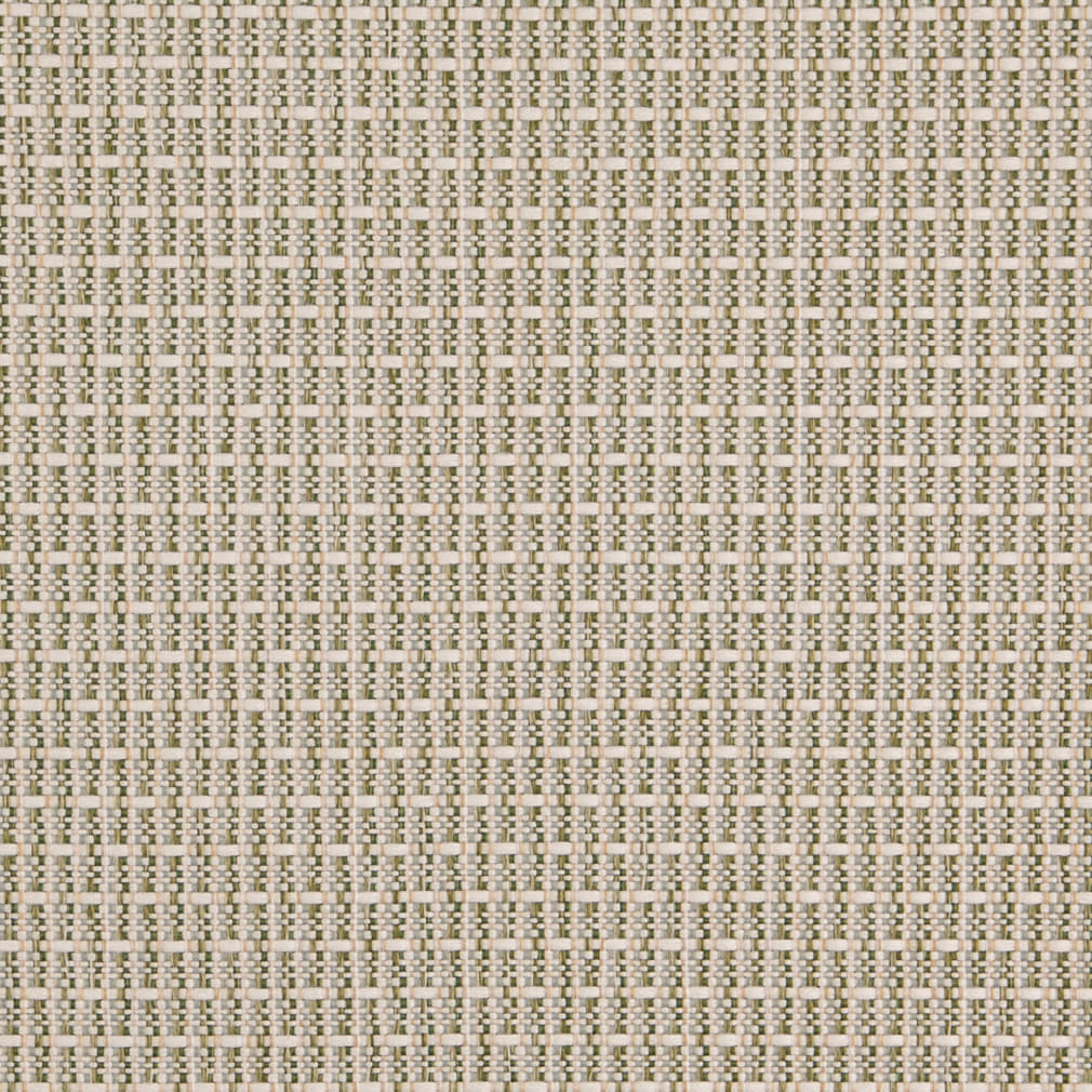 D5002 Plain & Solid Basil Green Charlotte Fabrics