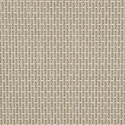 D5002 Plain & Solid Basil Green Charlotte Fabrics
