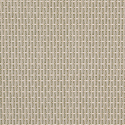 D5002 Plain & Solid Basil Green Charlotte Fabrics