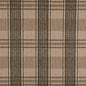 D5060 Plaid Thyme Green Charlotte Fabrics