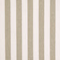 D5090 Stripe Herbal Green Charlotte Fabrics