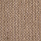 D5124 Plain & Solid Sisal Beige & Taupe Charlotte Fabrics