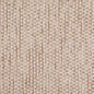 D5125 Plain & Solid Ecru Beige & Taupe Charlotte Fabrics