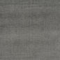 D585 Plain & Solid Graphite Grey & Silver Charlotte Fabrics