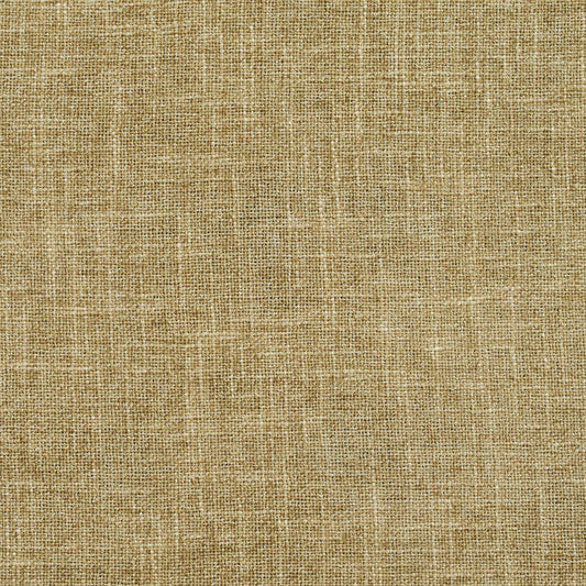 D697 Plain & Solid Sage Green Charlotte Fabrics