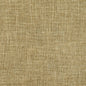 D697 Plain & Solid Sage Green Charlotte Fabrics