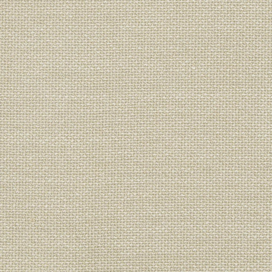 D825 Plain & Solid Pumice Grey & Silver Charlotte Fabrics