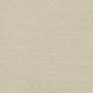 D825 Plain & Solid Pumice Grey & Silver Charlotte Fabrics