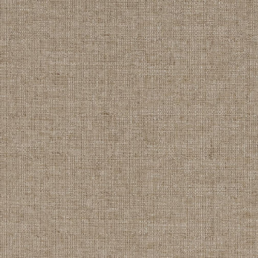 D833 Plain & Solid Taupe Brown Charlotte Fabrics