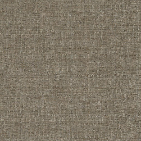 D836 Plain & Solid Bark Brown Charlotte Fabrics